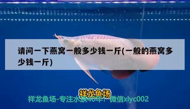 请问一下燕窝一般多少钱一斤(一般的燕窝多少钱一斤) 马来西亚燕窝