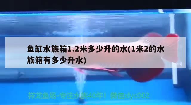 鱼缸水族箱1.2米多少升的水(1米2的水族箱有多少升水)