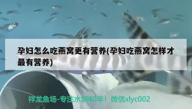 孕妇怎么吃燕窝更有营养(孕妇吃燕窝怎样才最有营养) 马来西亚燕窝