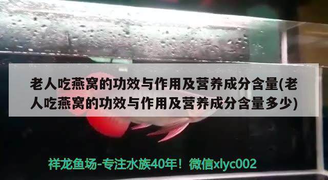 老人吃燕窝的功效与作用及营养成分含量(老人吃燕窝的功效与作用及营养成分含量多少) 马来西亚燕窝