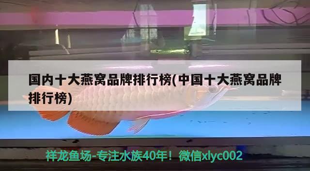 国内十大燕窝品牌排行榜(中国十大燕窝品牌排行榜) 马来西亚燕窝