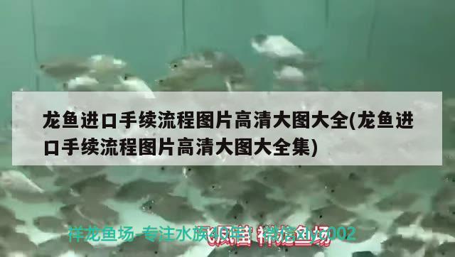 悠然居黑水泼、黄金虎、孔雀剑沙、双印剑沙 食人鱼（水虎） 第3张