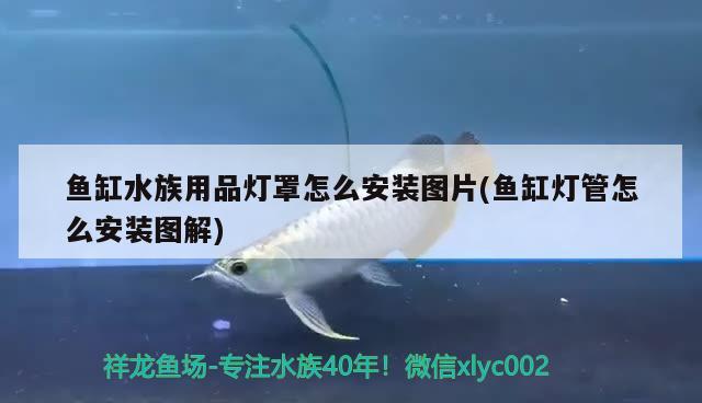 鱼缸水族用品灯罩怎么安装图片(鱼缸灯管怎么安装图解)