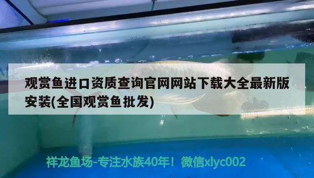 观赏鱼进口资质查询官网网站下载大全最新版安装(全国观赏鱼批发)