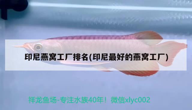 银龙鱼养了四年的银龙鱼被做成清蒸鱼，其口味与普通鱼有何不同？，养了四年的银龙鱼被做成清蒸鱼，其口味与普通鱼有何不同？