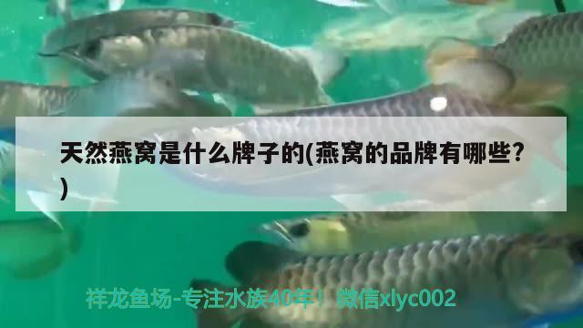 临汾鱼缸批发市场在哪里呀电话多少啊 临汾活鱼批发市场 金三间鱼