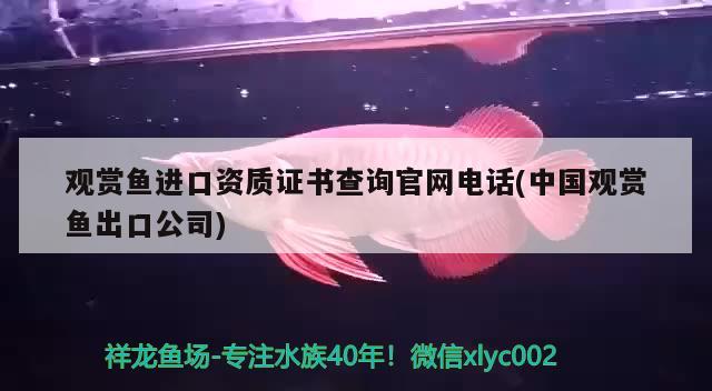 观赏鱼进口资质证书查询官网电话(中国观赏鱼出口公司)