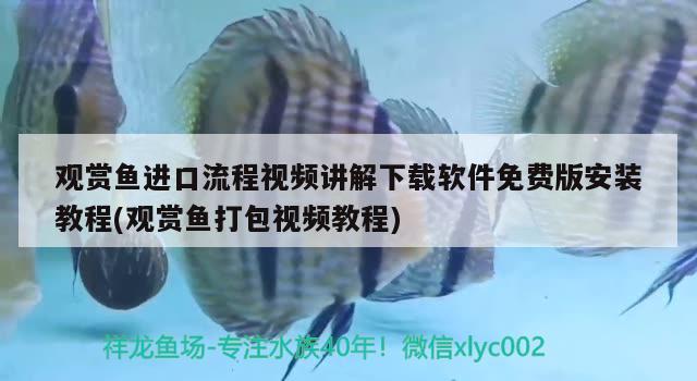 观赏鱼进口流程视频讲解下载软件免费版安装教程(观赏鱼打包视频教程) 观赏鱼进出口