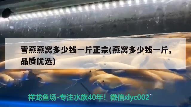 泰州金龙鱼集团公司招聘信息详细介绍|泰州金龙鱼集团公司招聘信息详细介绍，泰州金龙鱼集团公司招聘信息最新网站