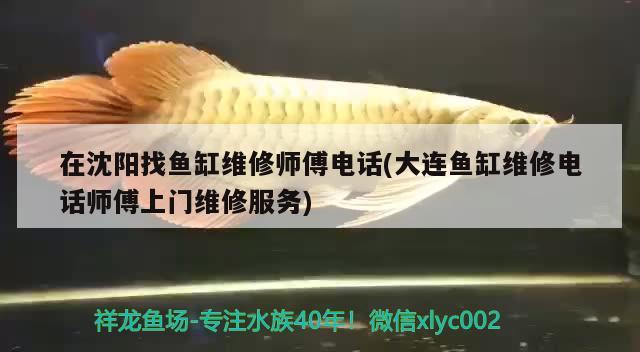 在沈阳找鱼缸维修师傅电话(大连鱼缸维修电话师傅上门维修服务)