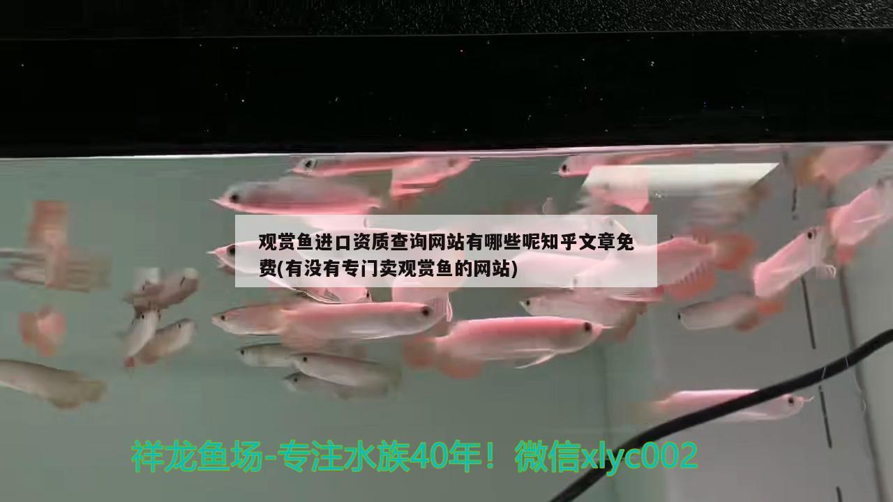 观赏鱼进口资质查询网站有哪些呢知乎文章免费(有没有专门卖观赏鱼的网站)