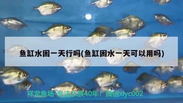 鱼缸水困一天行吗(鱼缸困水一天可以用吗) 水族用品