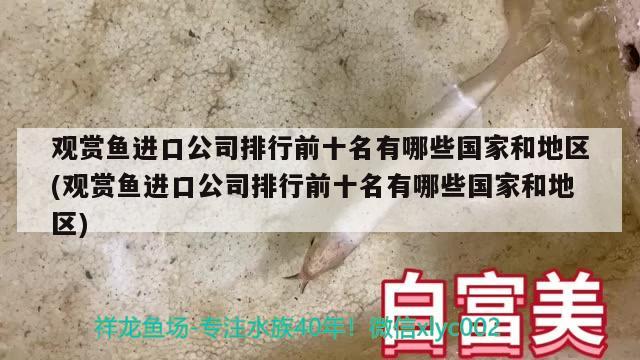 观赏鱼进口公司排行前十名有哪些国家和地区(观赏鱼进口公司排行前十名有哪些国家和地区) 观赏鱼进出口