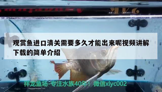 观赏鱼进口清关需要多久才能出来呢视频讲解下载的简单介绍 观赏鱼进出口