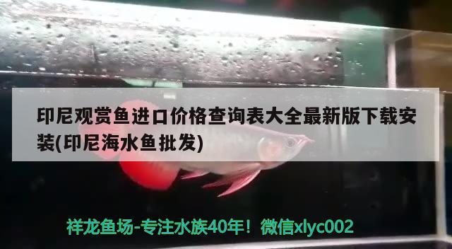 印尼观赏鱼进口价格查询表大全最新版下载安装(印尼海水鱼批发)