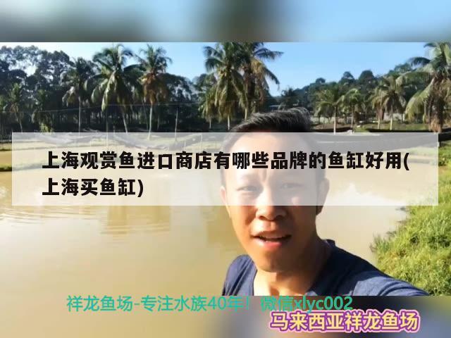 老孔雀鱼生仔 前兆，孔雀鱼生仔要生多长时间