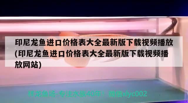 印尼龙鱼进口价格表大全最新版下载视频播放(印尼龙鱼进口价格表大全最新版下载视频播放网站) 观赏鱼进出口