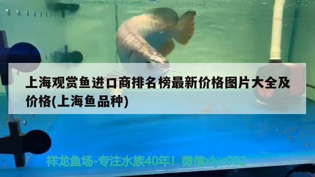 上海观赏鱼进口商排名榜最新价格图片大全及价格(上海鱼品种)