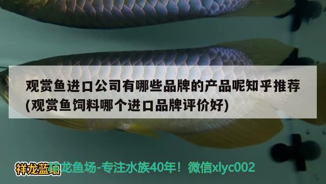 观赏鱼进口公司有哪些品牌的产品呢知乎推荐(观赏鱼饲料哪个进口品牌评价好)