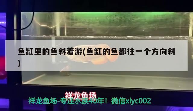 和尚的平均寿命比普通人更长吗，和尚寿命都很长吗，和尚寿命都很长吗？