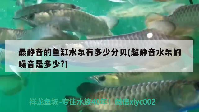 印尼进口燕窝品牌(印尼进口燕窝价格) 马来西亚燕窝 第1张