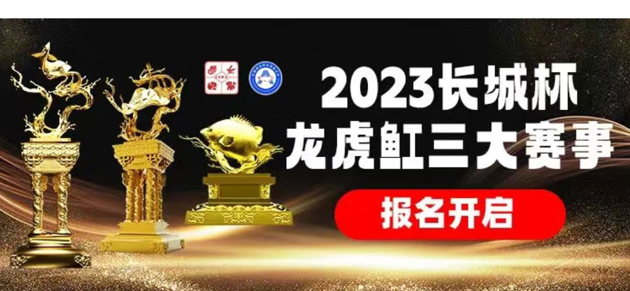 龙虎魟齐聚2023“长城杯”！(cips2023)