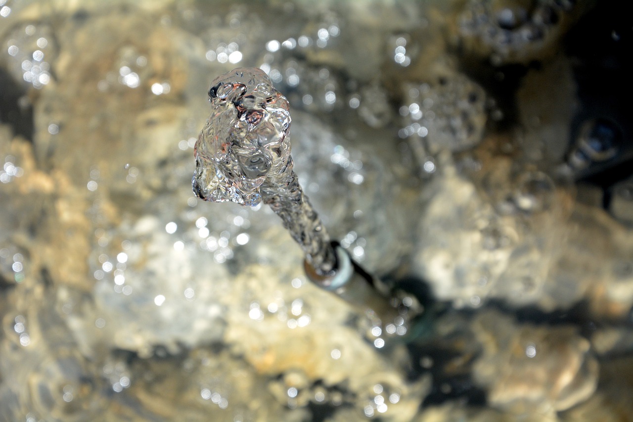 养水虎放火山石可以吗，水虎鱼怎么换水 注意换水的频率 食人鱼（水虎） 第2张