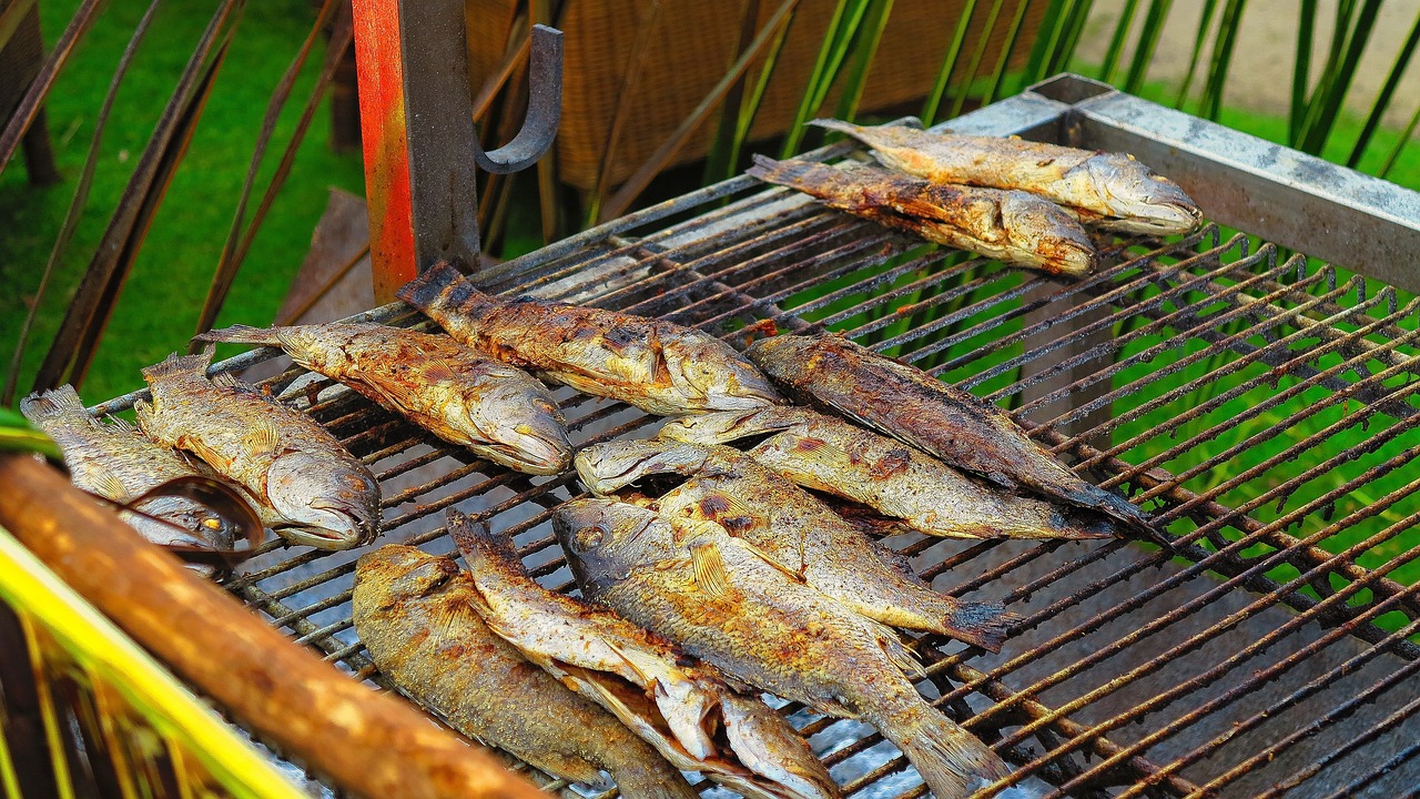 虎皮鱼每天喂食多少次，虎皮鱼喂多大的饲料