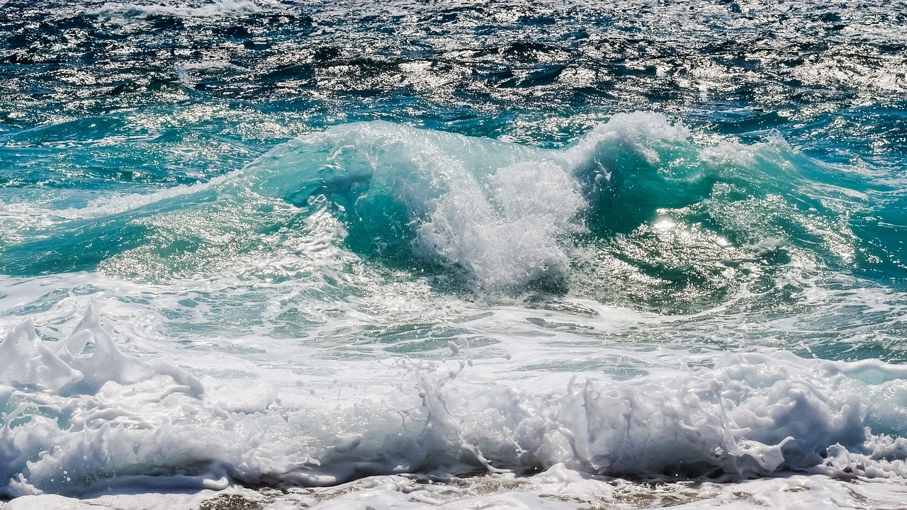 红海鱼缸养淡水鱼行吗视频讲解_红海鱼缸养淡水鱼行吗视频讲解 金龙福龙鱼 第1张