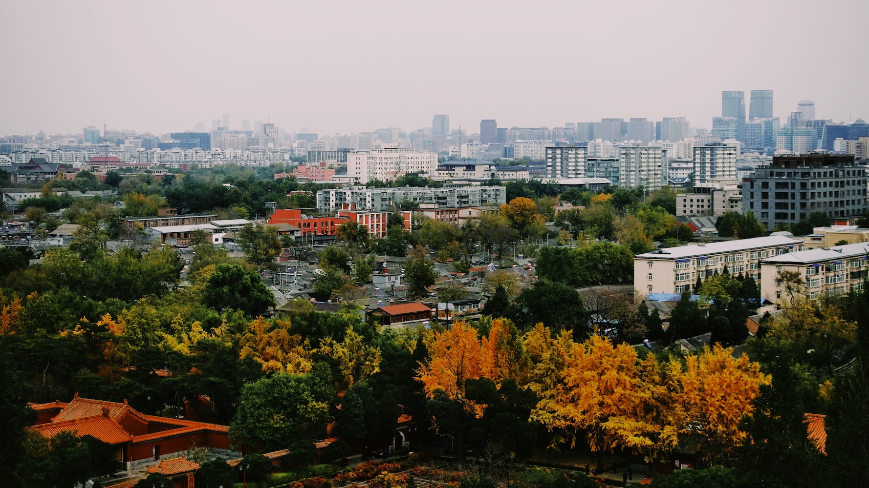 别墅园林景观设计平面图 （别墅园林景观设计平面图片） 广州景观设计 第1张