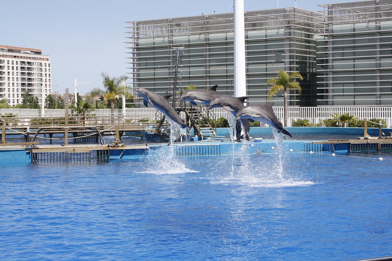 水族主题民宿推荐 （水族主题民宿推荐） 水族主题相关 第2张