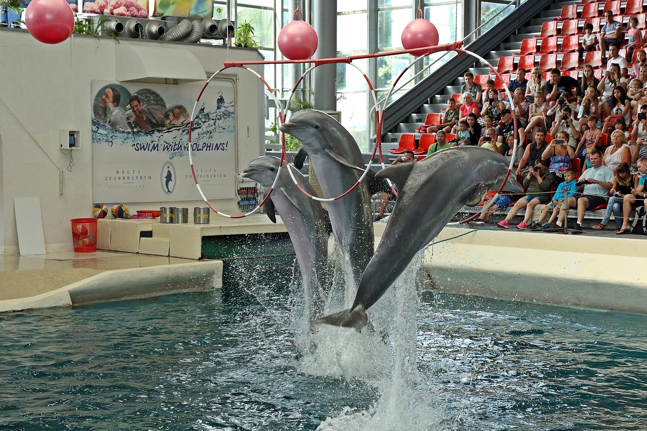 水族馆的儿童画 （水族馆的儿童画怎么画） 水族主题相关 第2张