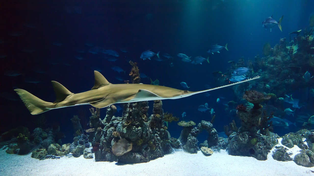 盐城市大丰丰展水族用品有限公司 （大丰水族馆怎么样） 水族用品 第1张