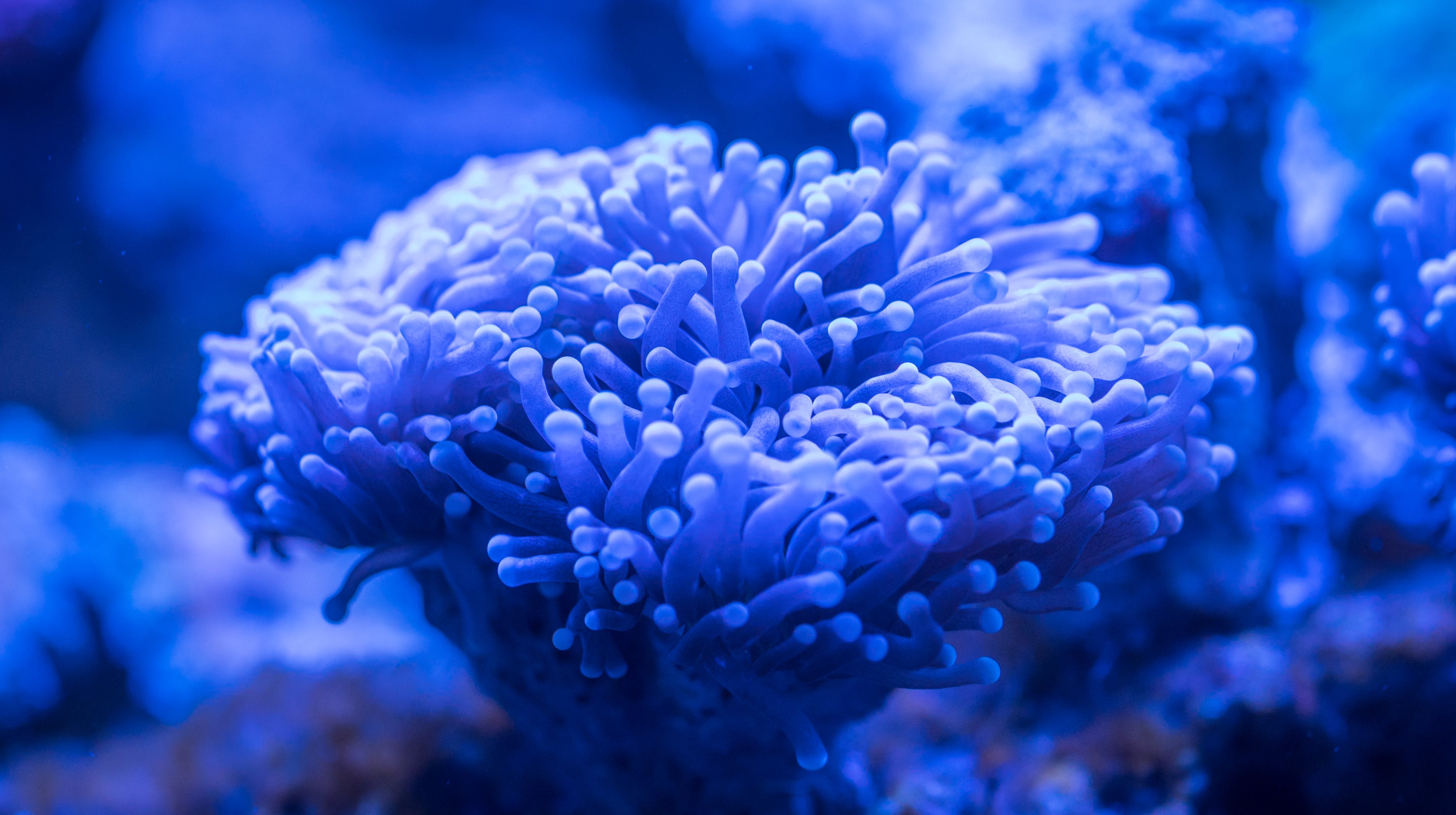 修水县幸福水族馆 （修水县幸福水族馆电话） 全国水族馆企业名录 第1张