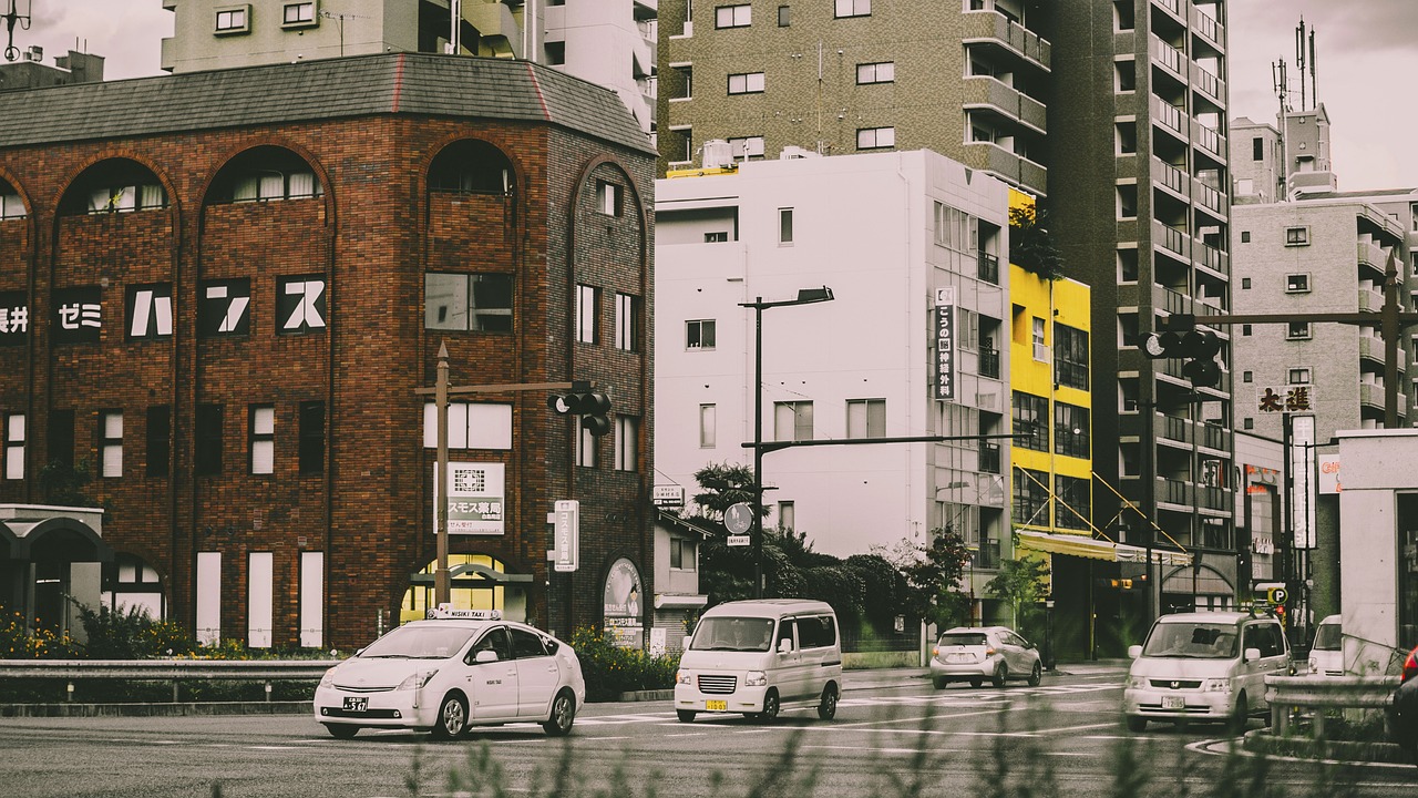 鞍山市观赏鱼批发市场电话地址（鞍山观赏鱼批发市场在哪） 观赏鱼批发 第2张