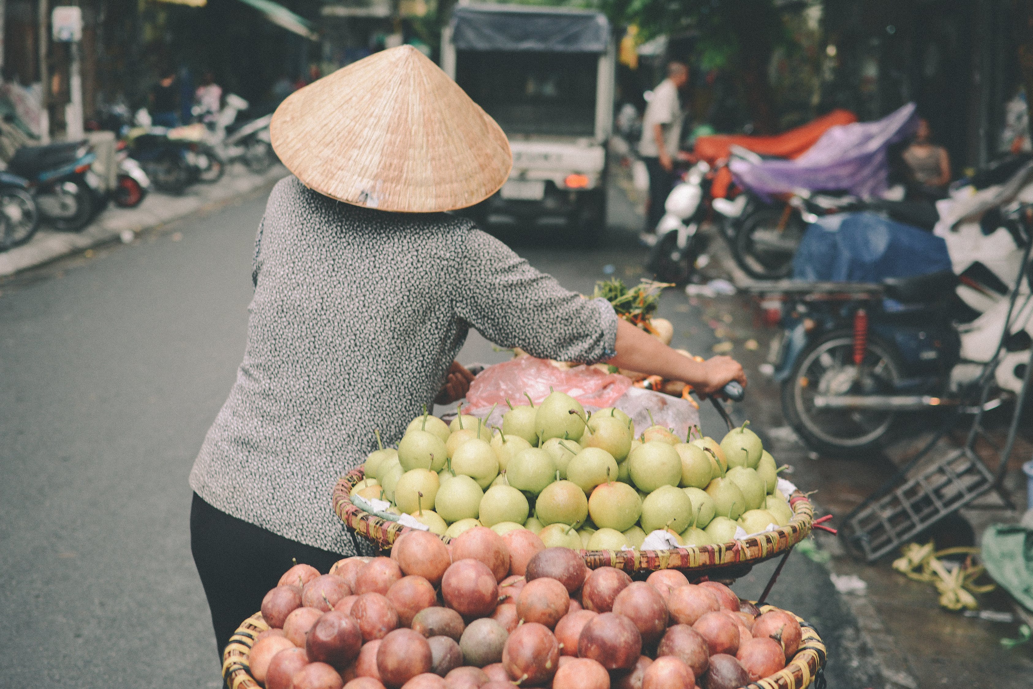 安阳花卉市场卖观赏鱼的店铺有哪些呢，安阳哪里有花卉市场 观赏鱼 第2张