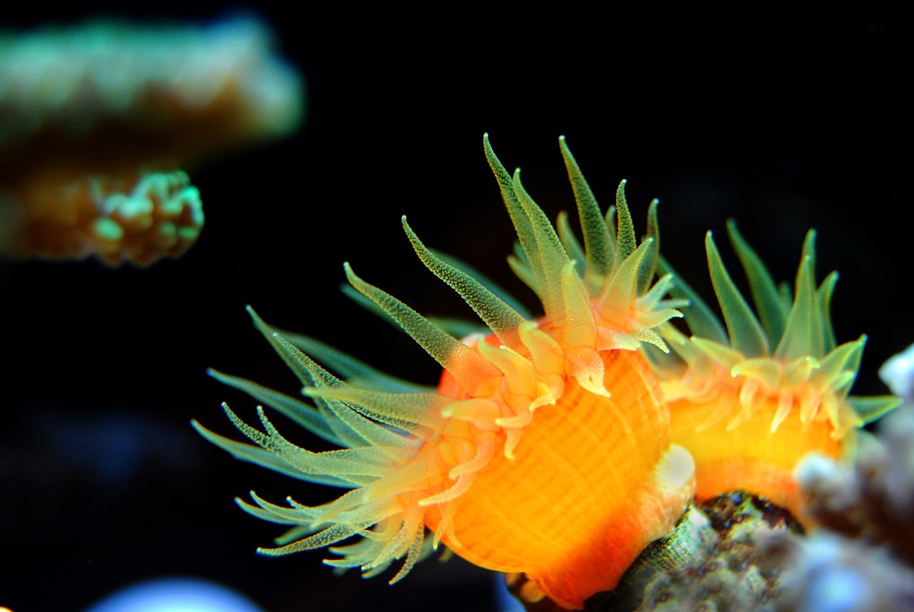 新宁县胖子水族馆 （新宁县胖子水族馆电话）