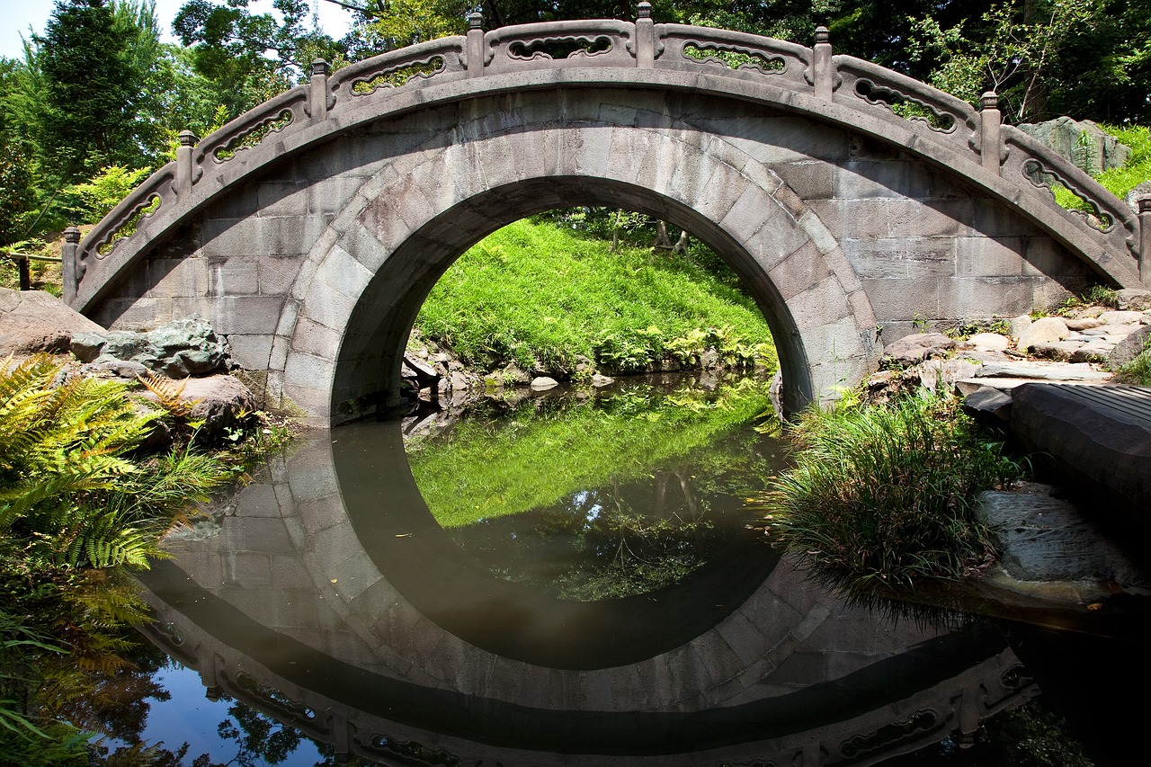 如何向鱼缸里通氧气：怎么往鱼缸里打氧 观赏鱼市场 第3张