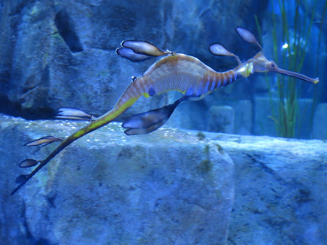 宾阳县京阳水族馆 （宾阳县京阳水族馆电话）