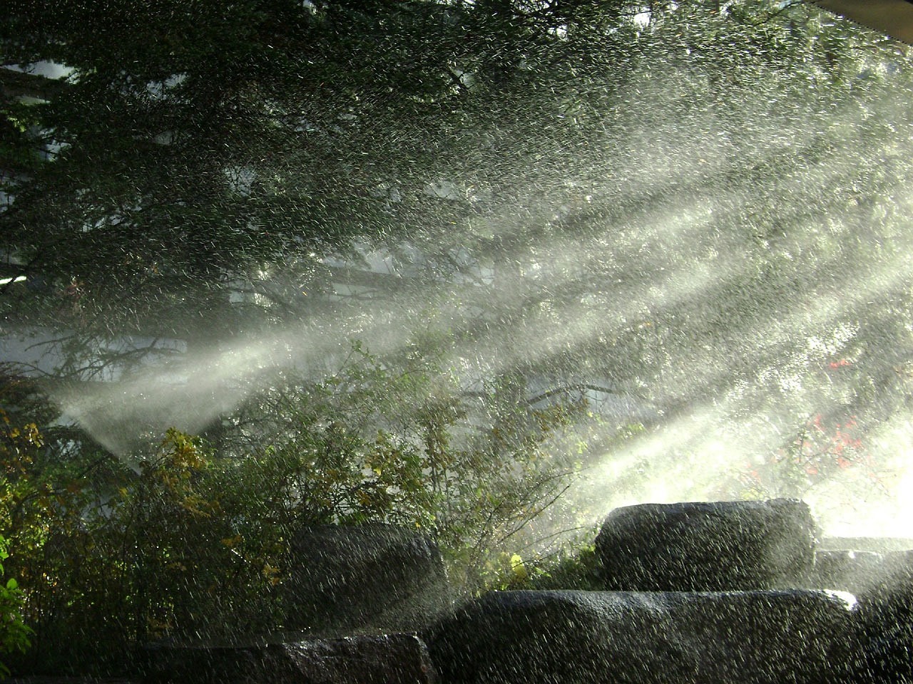 日式鱼缸造景设计图大全(日式鱼缸造景设计图大全集)