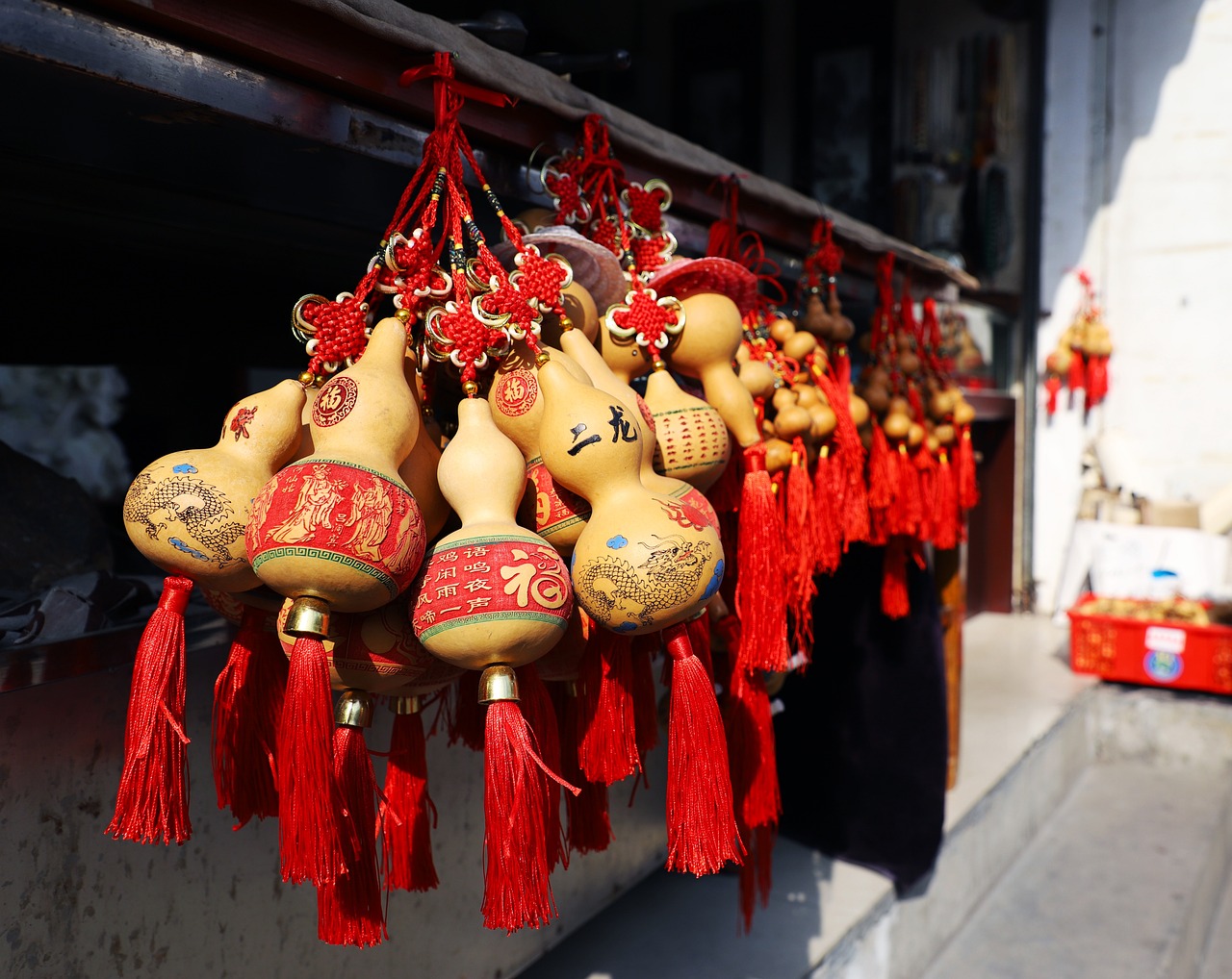 天津观赏鱼夜市时间表图片大全高清 （天津观赏鱼夜市时间表图片大全高清） 观赏鱼市场（混养鱼） 第1张