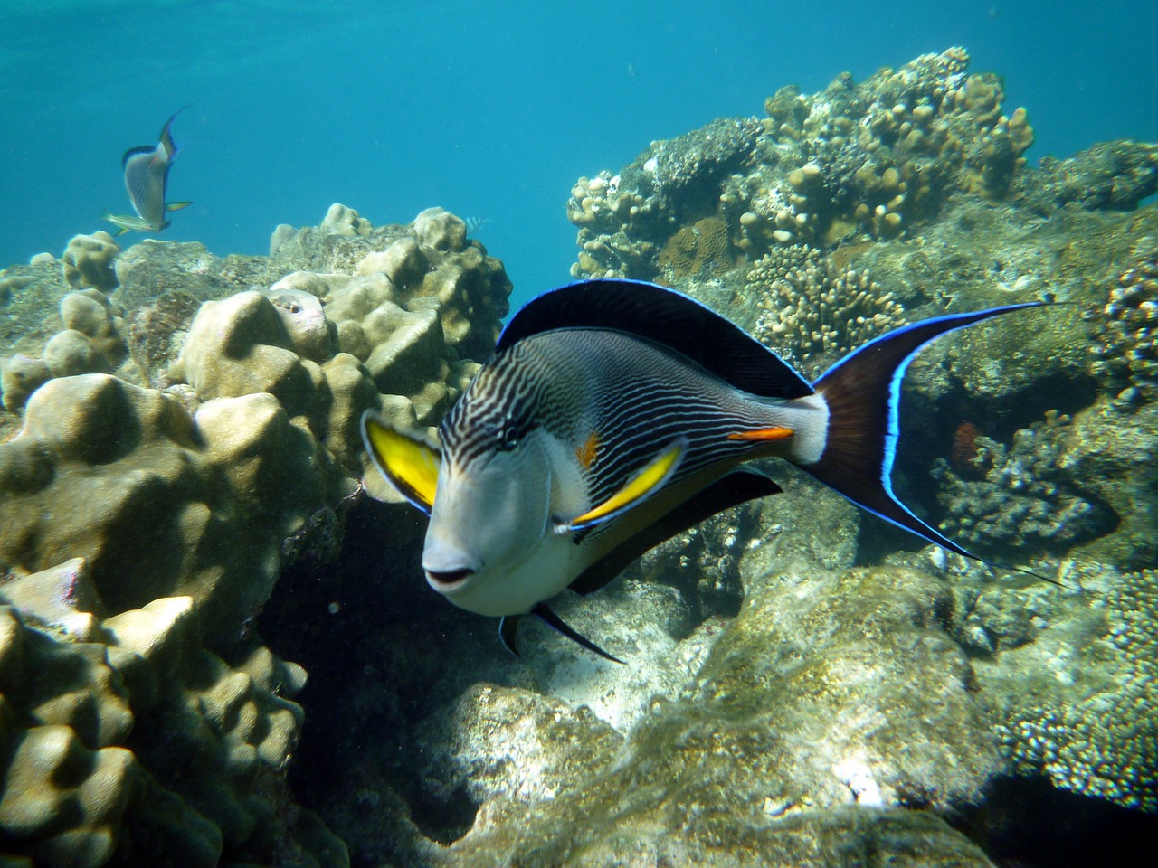 集宁区森森水族馆 