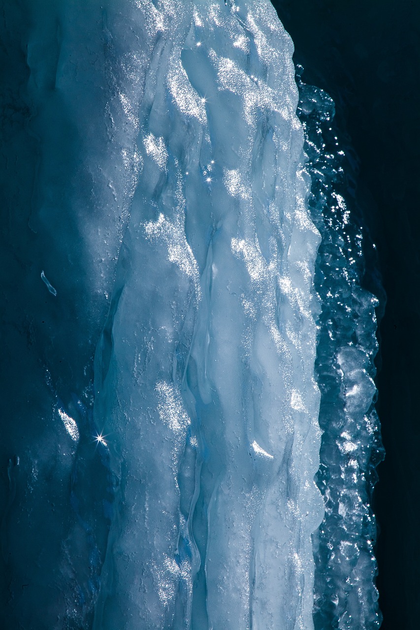 冬天鱼缸水浑浊原因和解决方案 （冬天鱼缸水浑浊原因和解决方案视频）