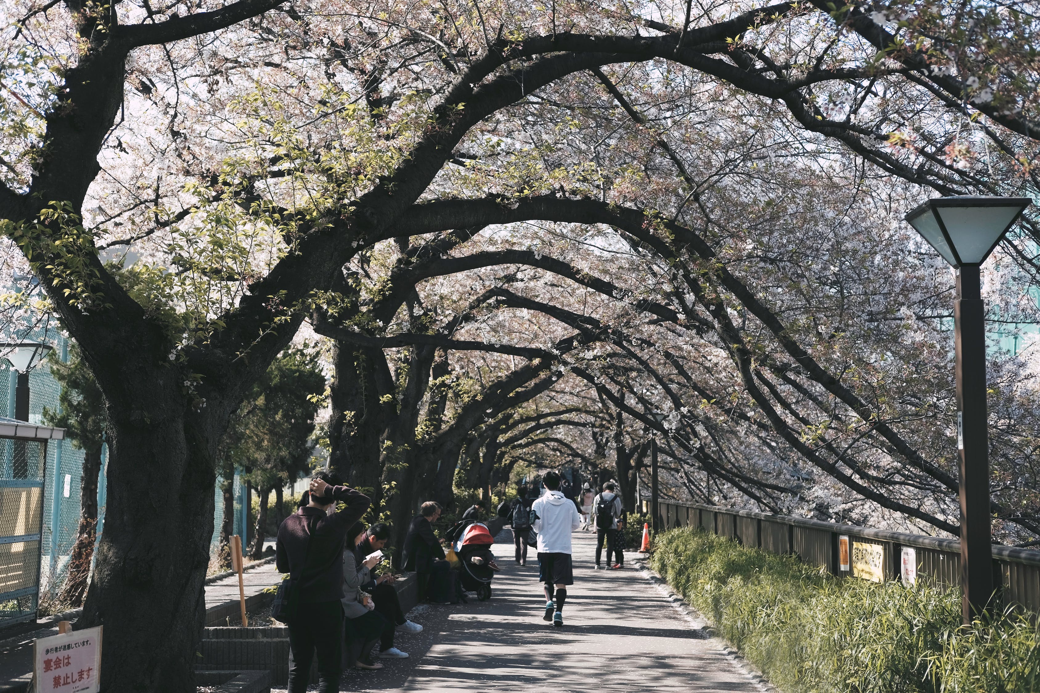 枯山水景 （枯山水景观图片） 广州景观设计 第2张