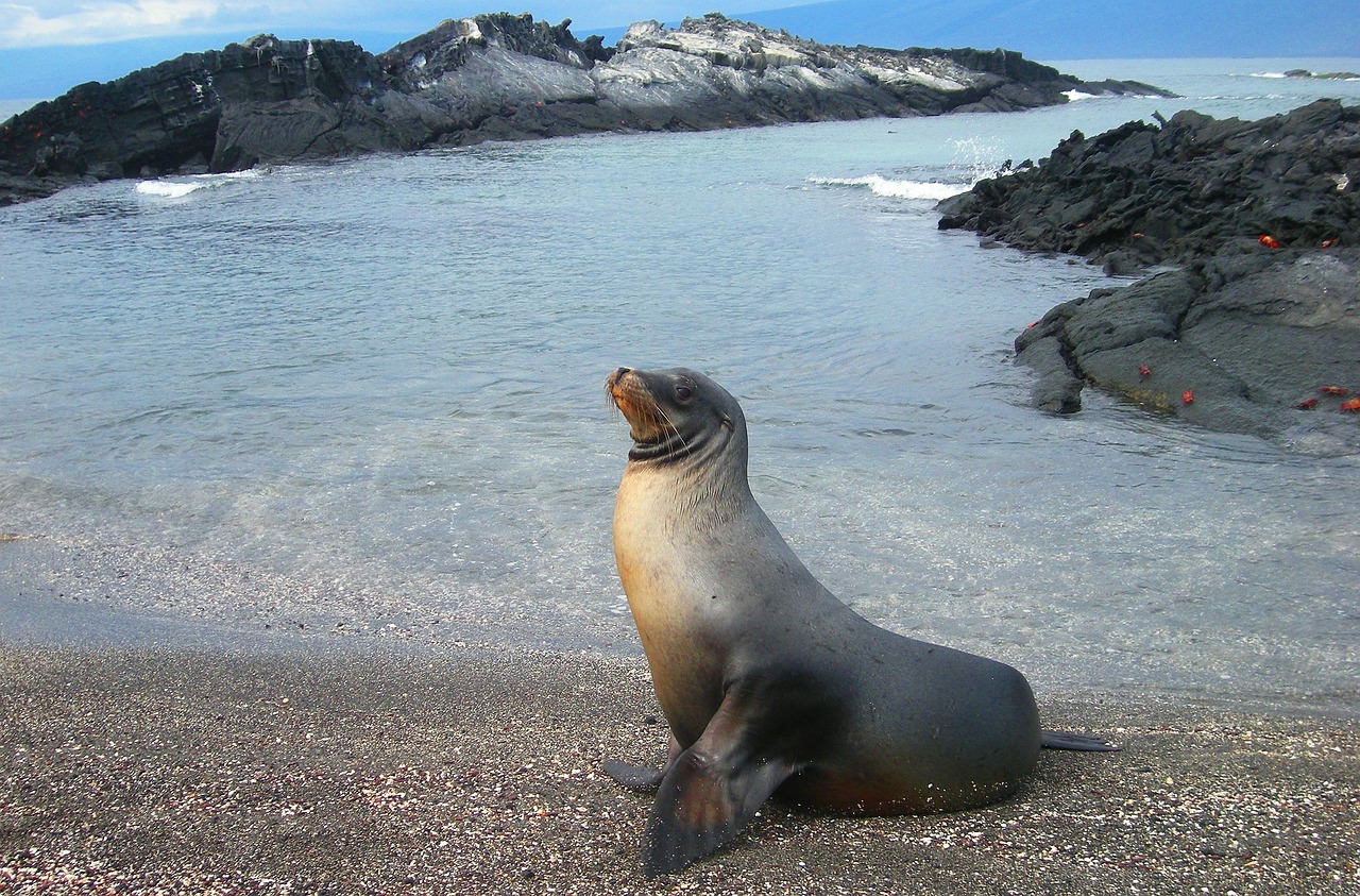 天长市鱼友生态水族馆 