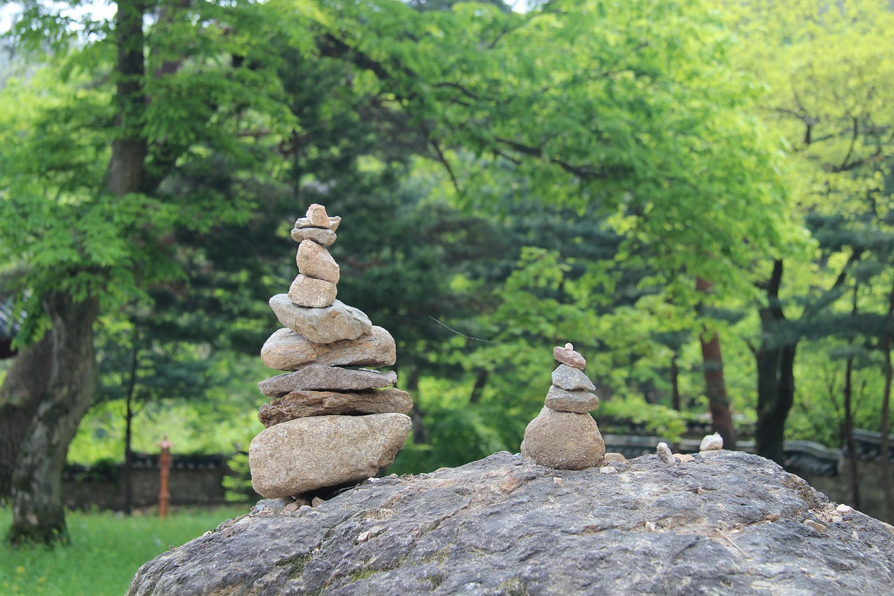 石头盆景鱼缸图片大全集 （石头盆景鱼缸图片大全集欣赏）