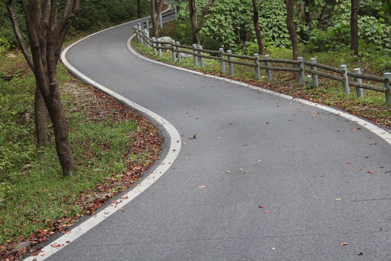 枯山水园林有哪些景点  广州景观设计 第2张