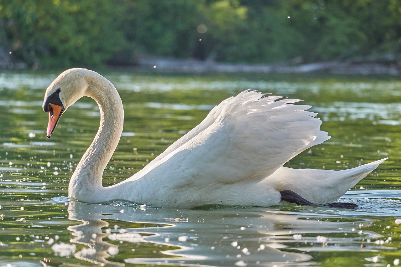 吴忠水族馆阳江的刀具产业是怎样发展起来的？