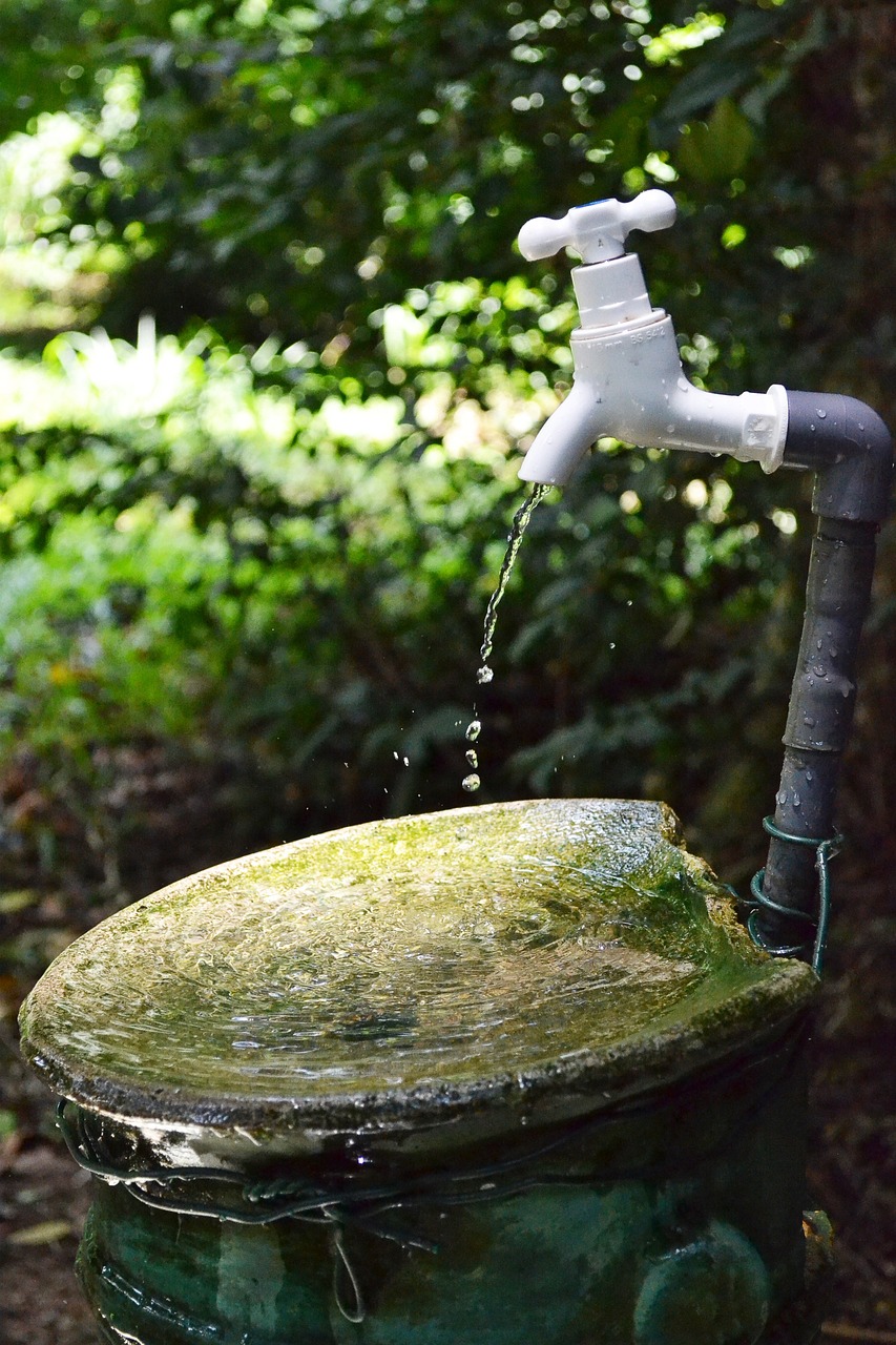 龙鱼虎鱼混养用什么底色最好看（龙鱼虎鱼混养寓意） 虎鱼百科 第1张