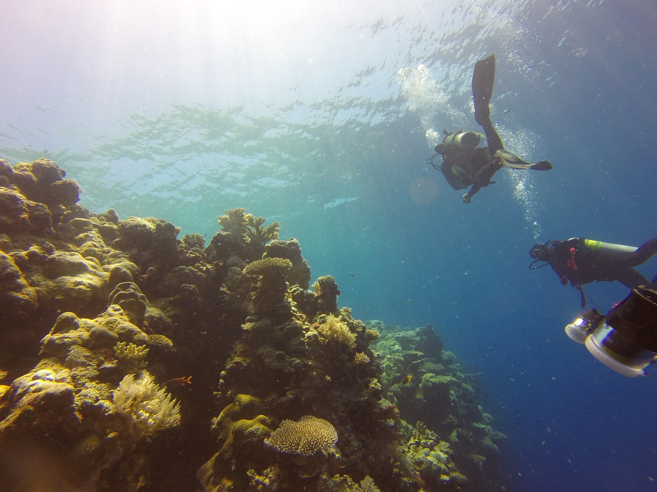 海安卖鱼缸的地方在哪里有（海安哪里有水族馆） 帝王血钻 第1张